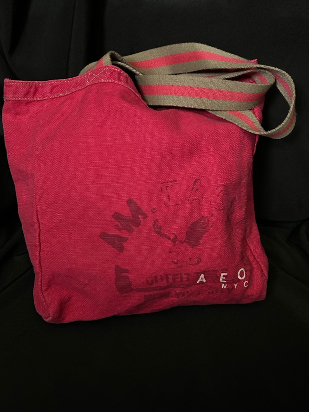 American Eagle Outfitters Red Canvas Tote with Trim
